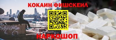 крисы Кулебаки