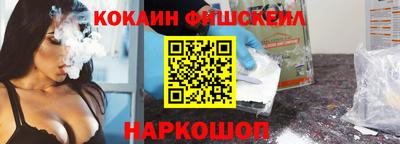 крисы Кулебаки