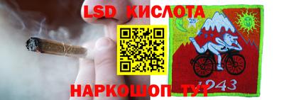 крисы Кулебаки