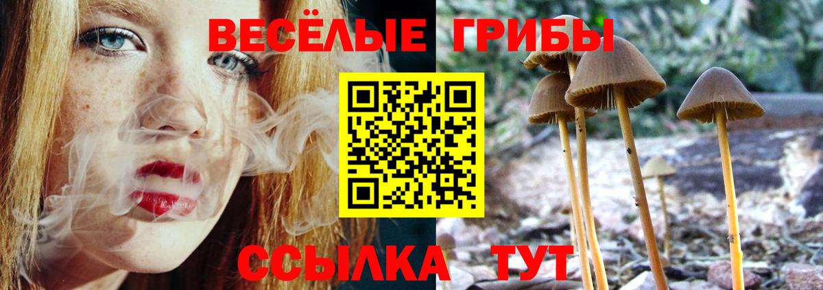 Псилоцибиновые грибы Psilocybine cubensis  Вход с VPN  Моршанск 