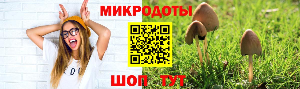 Псилоцибиновые грибы ЛСД Моршанск